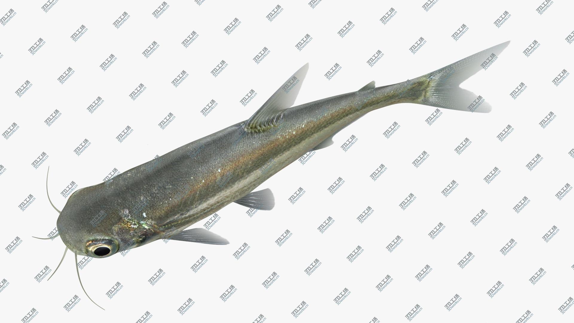 images/goods_img/2021040163/3D Iridescent Shark Animated model/3.jpg